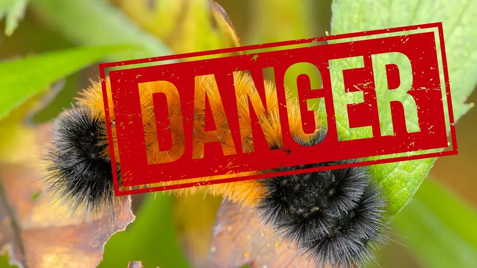 Michigan Residents Beware Of This Potential Danger