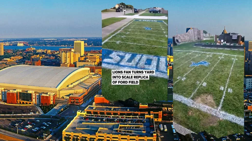 Creative Detroit Lions Fan Transforms Michigan Yard Into Ford Field
