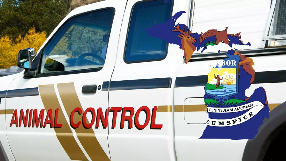 Cass County Zoo: Michigan Police Seize 220 Animals From Home